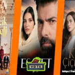New Turkish Series, Best Turkish Series, Turkish Tv Series, Top Turkish Series, Netflix Turkish Series, Turkish Tv Shows, Turkish Series Online